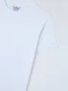 f569594736.webp