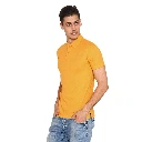 Yellow Collar Tshirts.webp