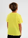 Back.webp