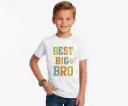 Double F Branded Round Neck Half Sleeve Best big bro Printed T-Shirt for Boys